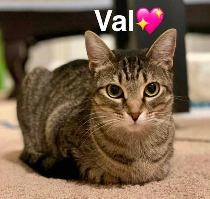Photo of Val