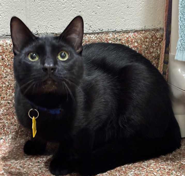 Photo of Burnt with Krisp-2 for 1