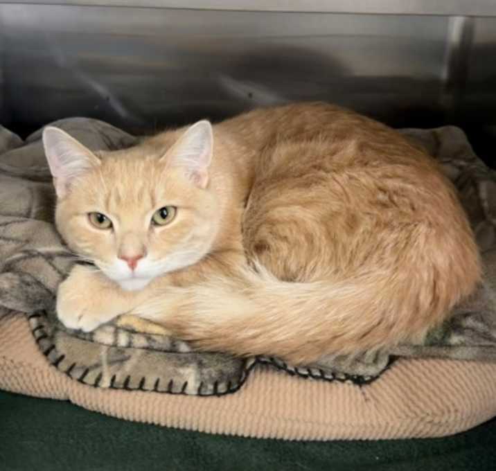 Photo of Mr. Snowglobe