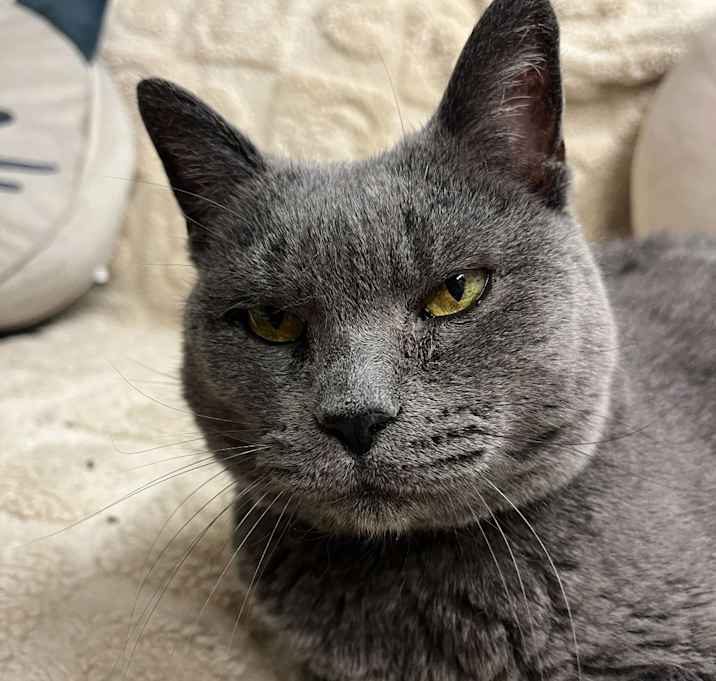 Photo of Sunday River