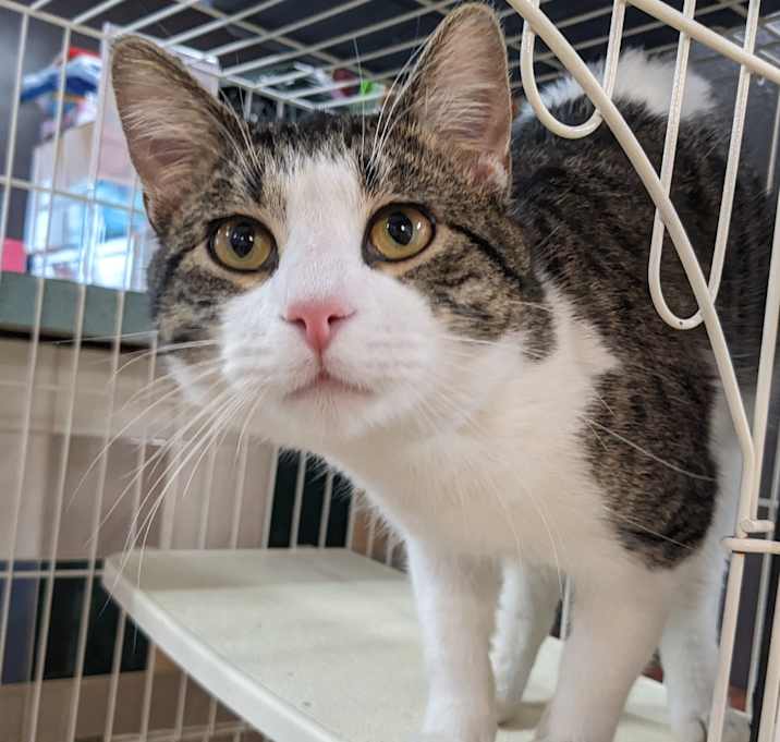 Photo of McNasty LR1