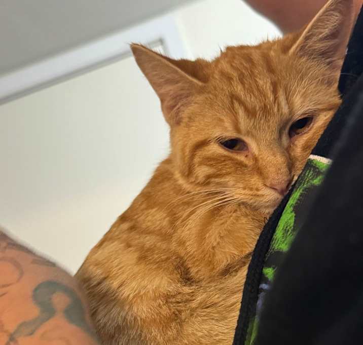 Photo of Princess Peach