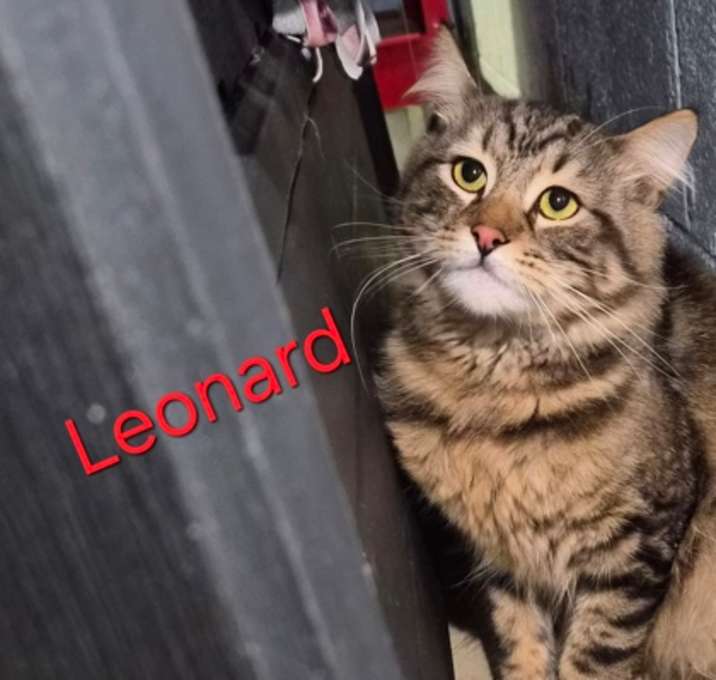Photo of Leonard