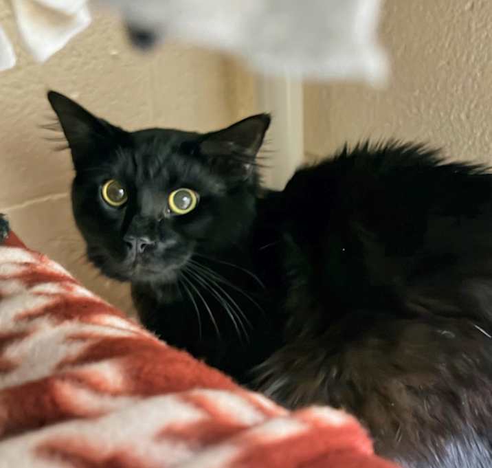 Photo of Maria the Boy