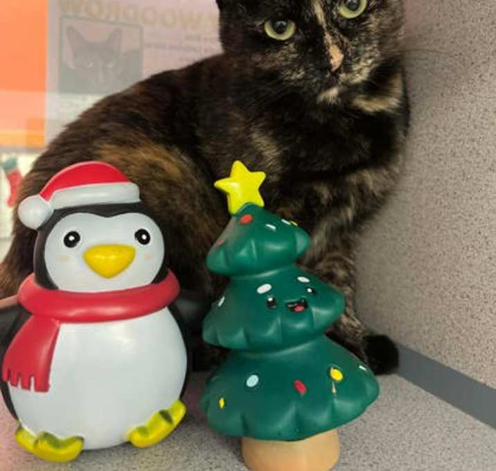 Photo of Mary Woodrow