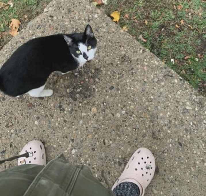 Photo of Bob aka Toast