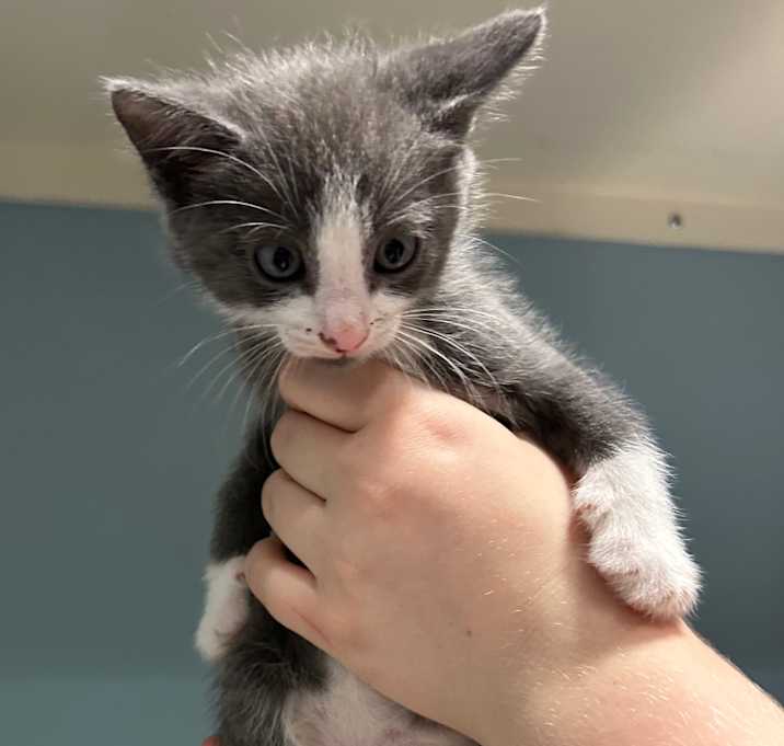 Photo of Captain Crunch