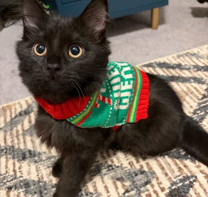 Photo of Phoebe Stache