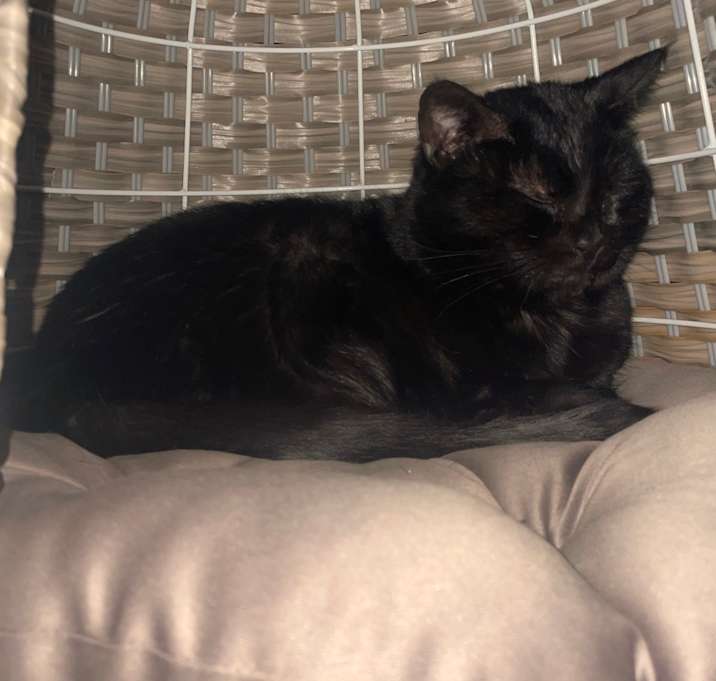 Photo of Gladys Knight 