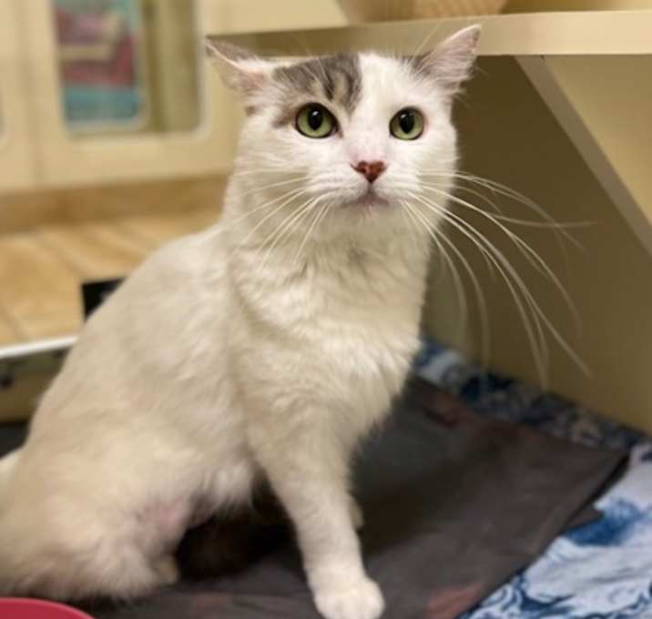 Photo of Nala Bean~25/26-0175a