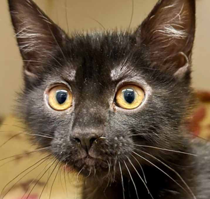 Photo of Zoey Deloney