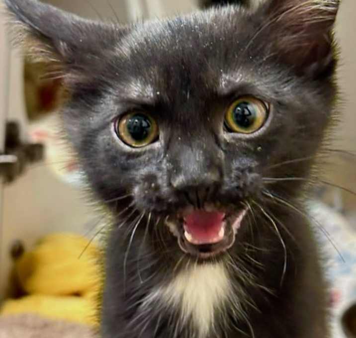 Photo of Rubey Deloney