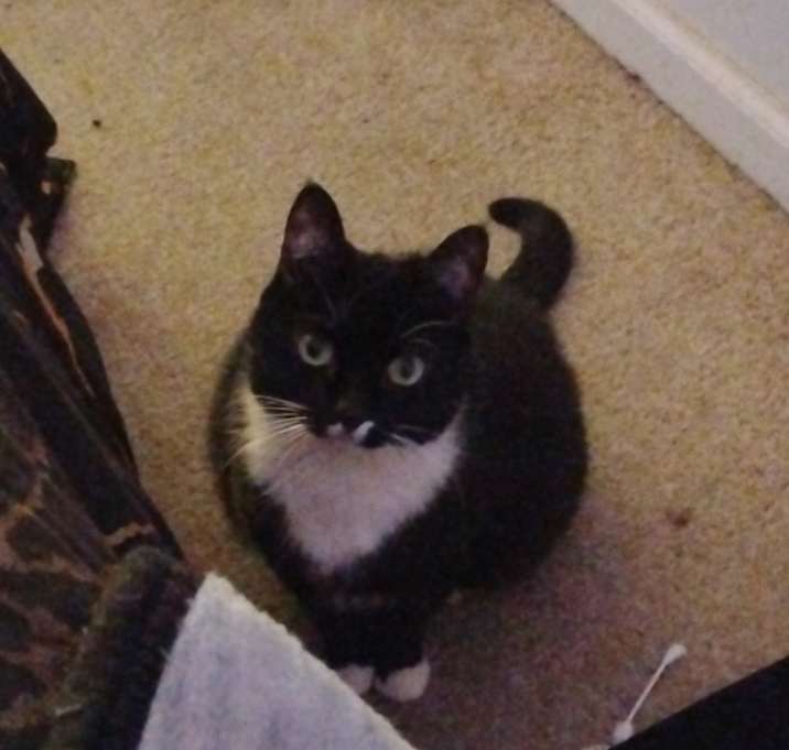 Photo of Lady/ fat stuff