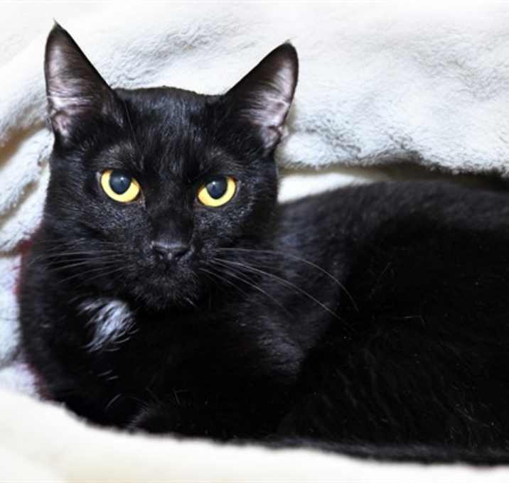 Photo of FIGARO