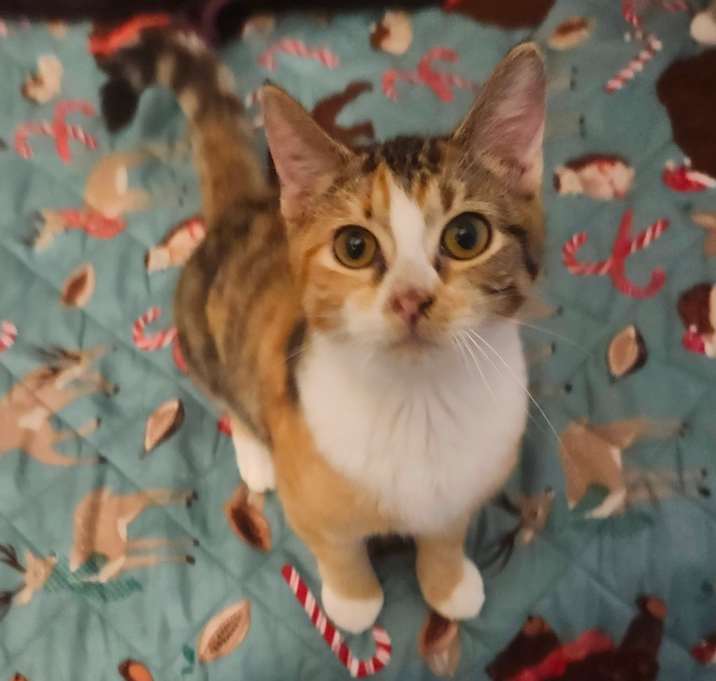 Photo of Shelby Jo-AR