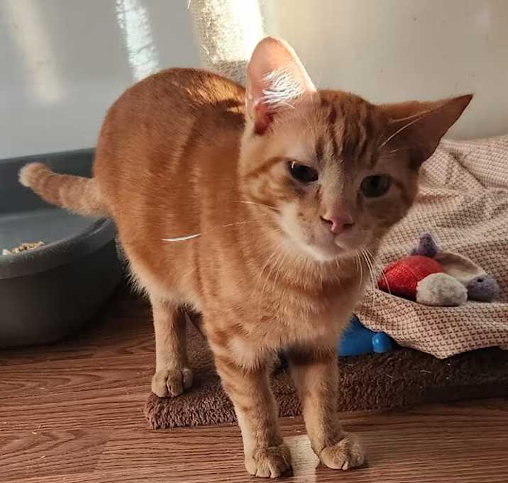 Photo of Doc Holliday