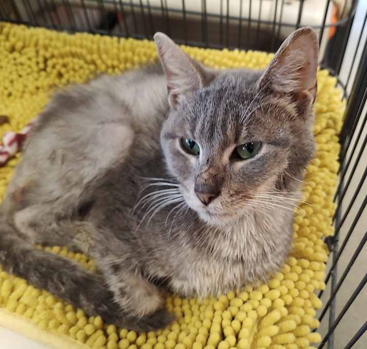 Photo of Sol De Janeiro