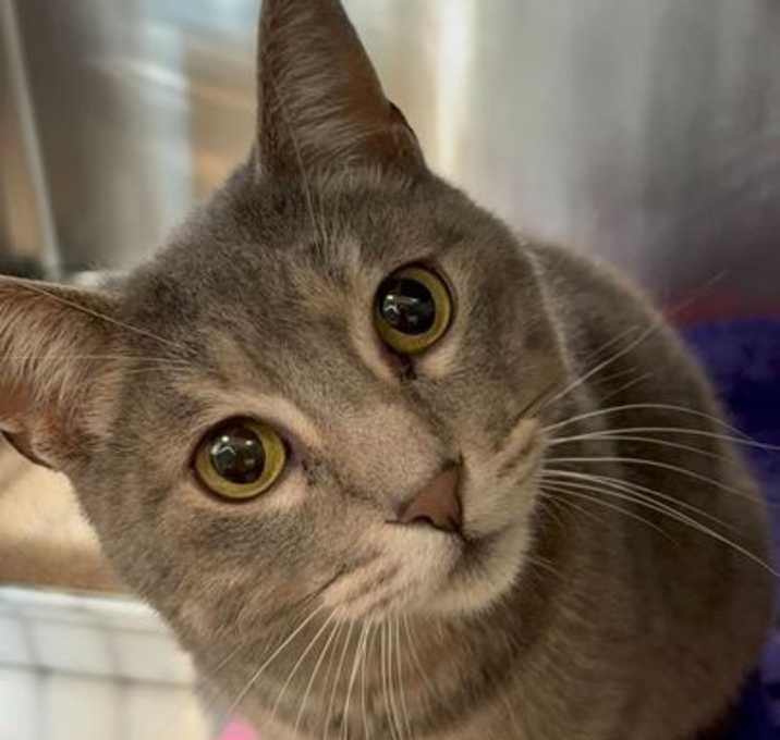 Photo of Florida Man 