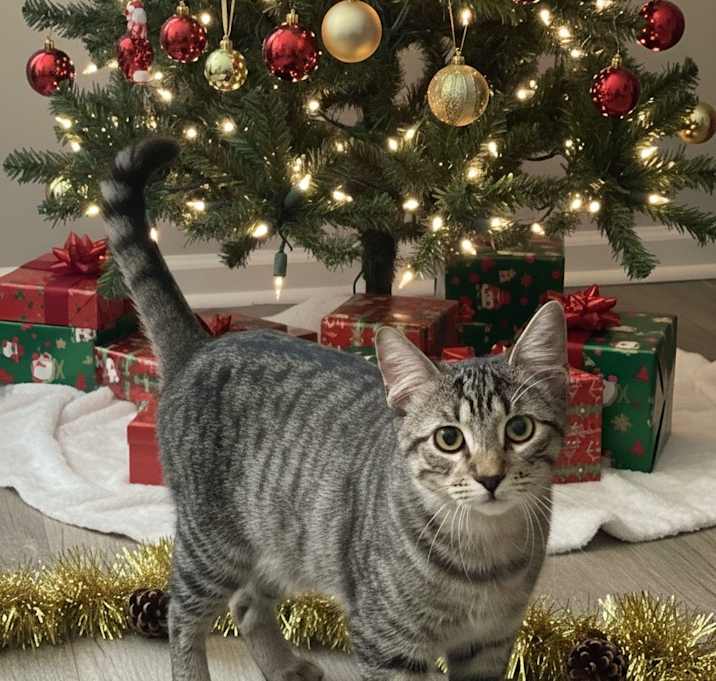 Photo of Phoenix & Xander