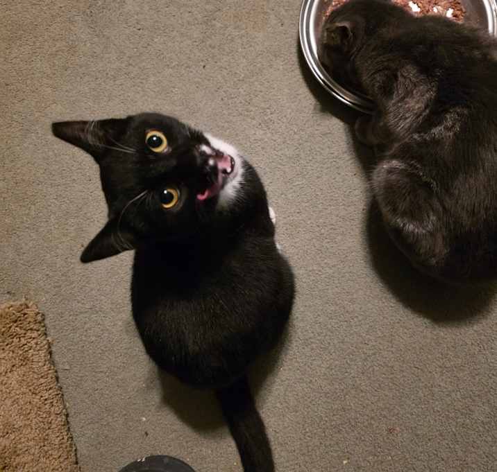 Photo of 1025-97 Baffi