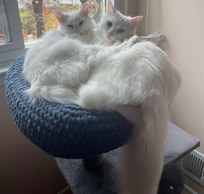 Photo of Wendi and Blizzard