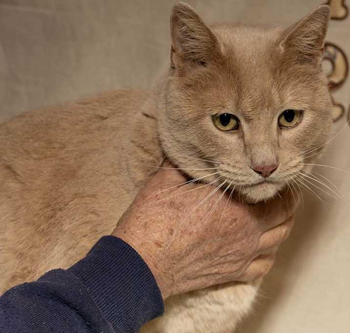 Photo of Sand Coulee