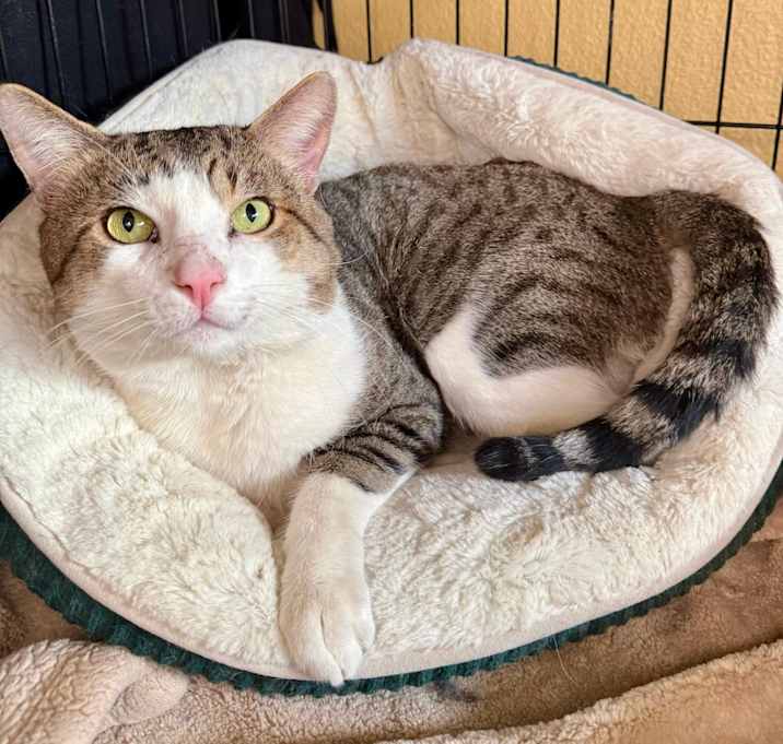 Photo of Mr. Doodlesworth