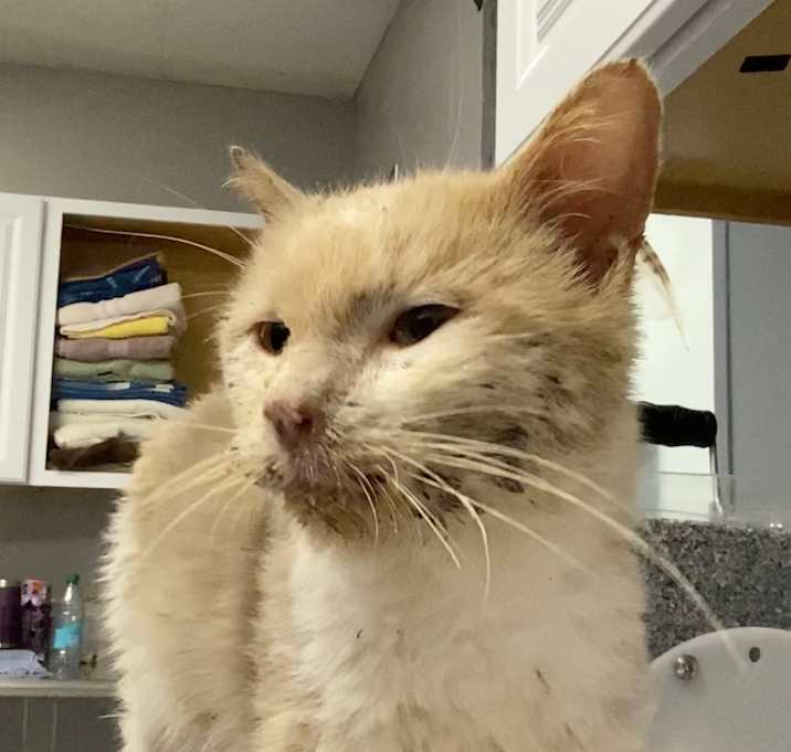 Photo of Krispy Kreme