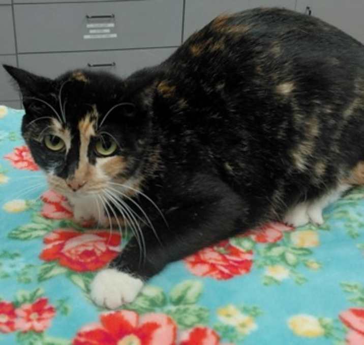 Photo of F25 SB 1618 Lauren Bacall