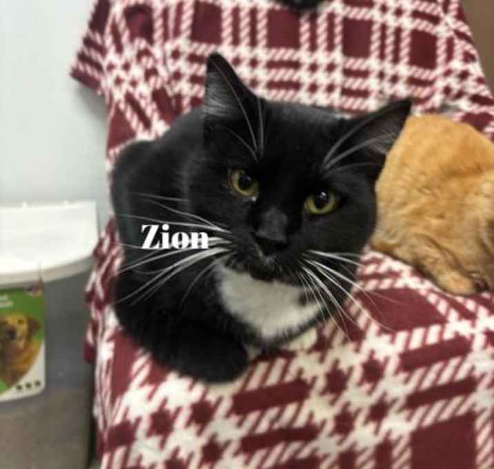 Photo of Zion