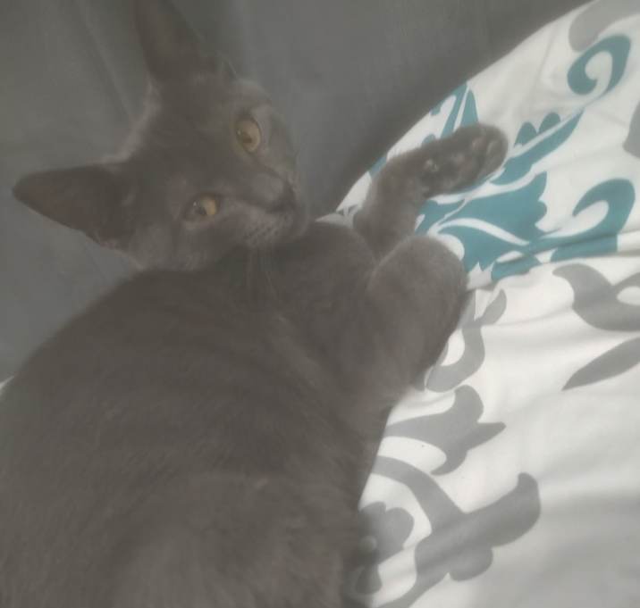 Photo of Bucket Truck Todd