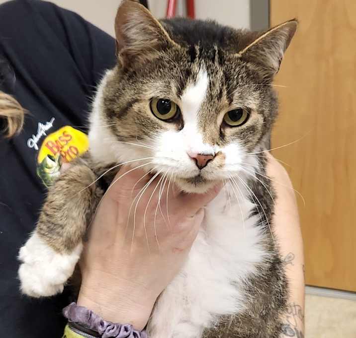 Photo of Clayton - 121901T