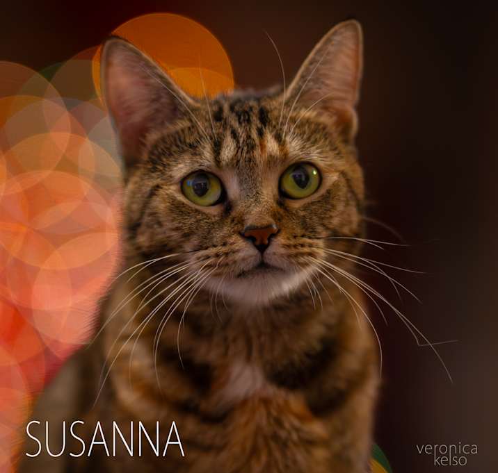 Photo of Susanna