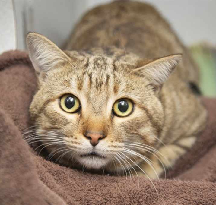 Photo of TICKLE MONSTER