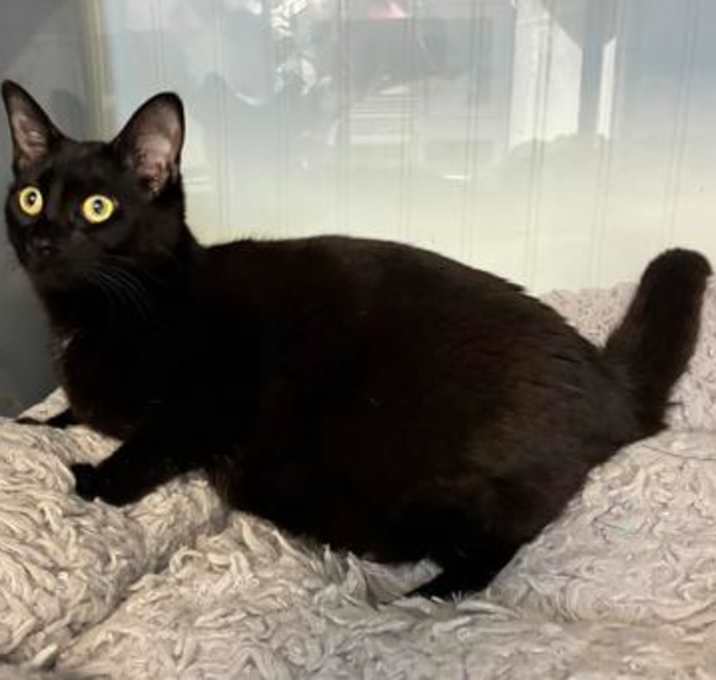 Photo of Running Back