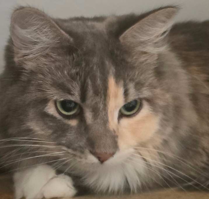 Photo of Athena (FKA Monet)