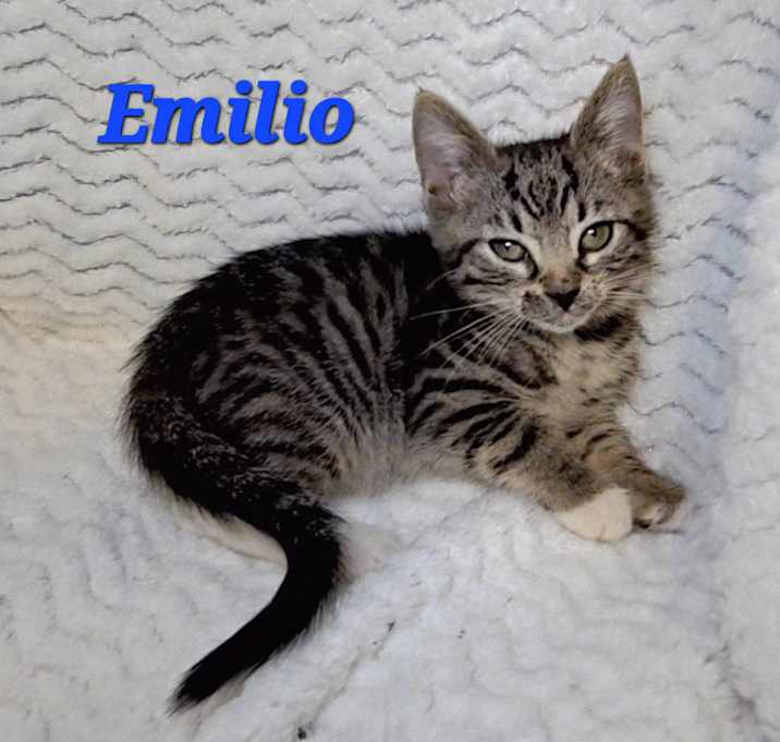 Photo of Emilio