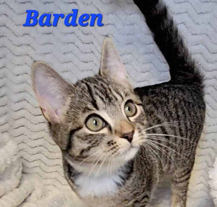Photo of Barden