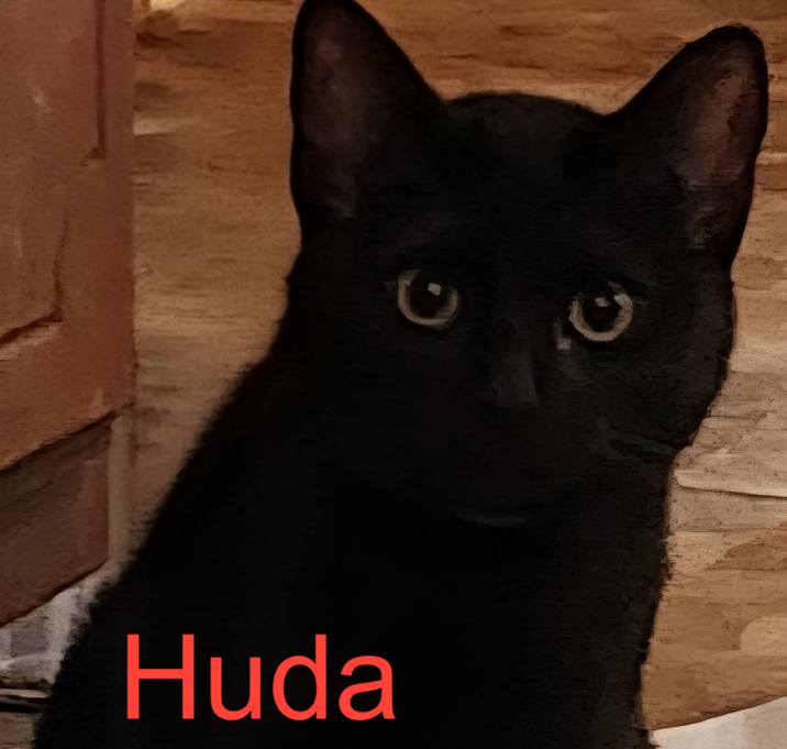 Photo of Huda