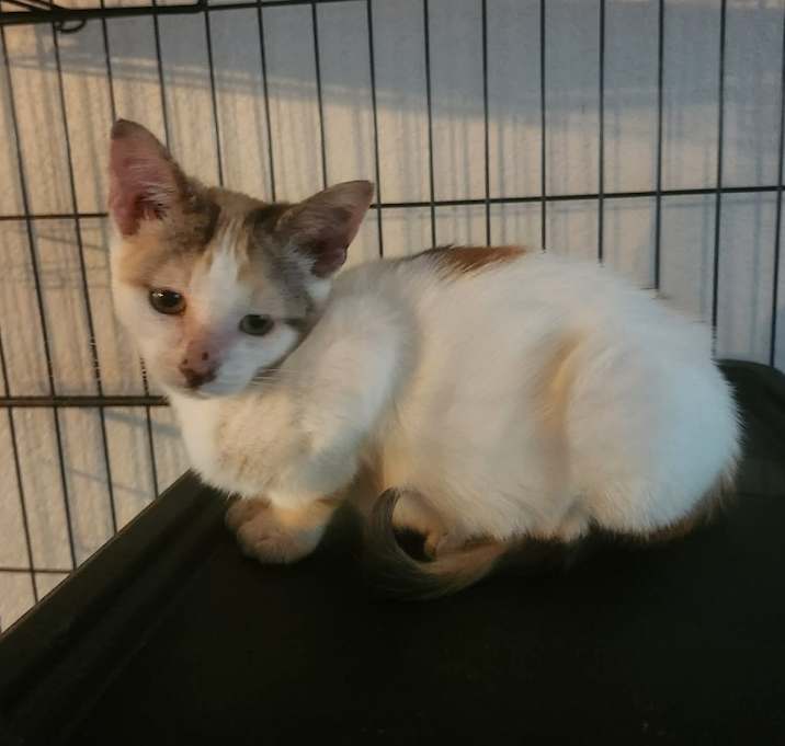 Photo of Nichole EJS