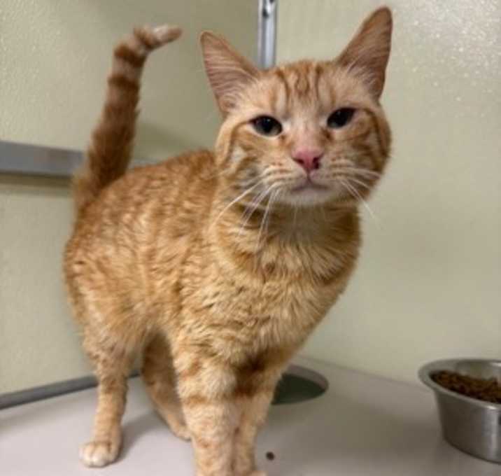 Photo of Juan Mississippi