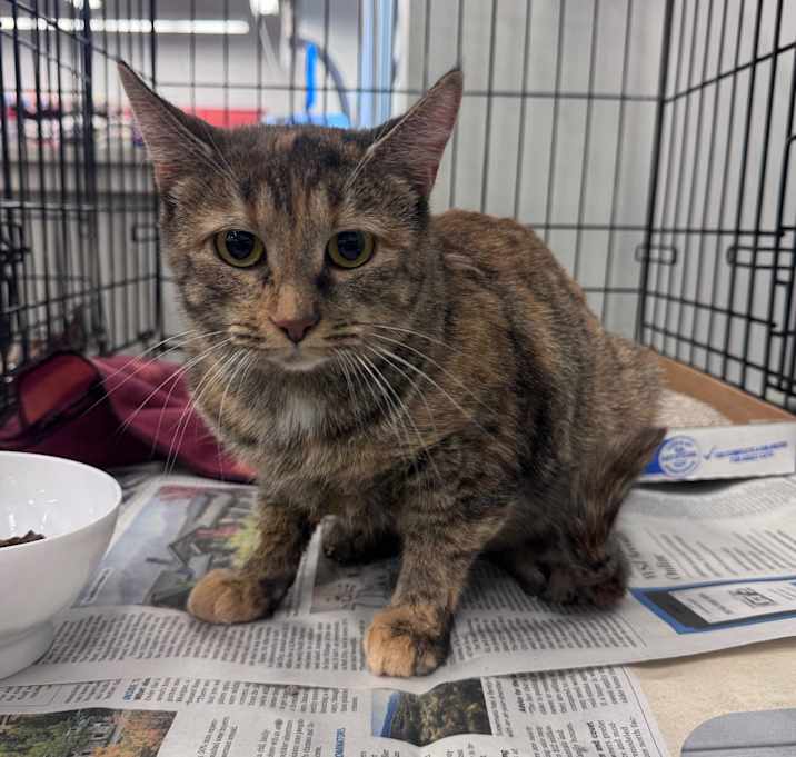 Photo of Miss Sunset