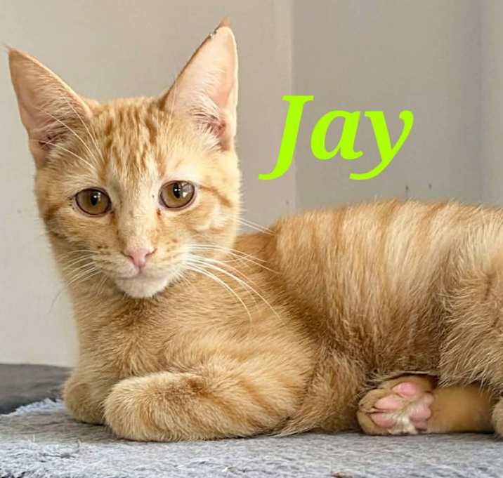 Photo of Jay