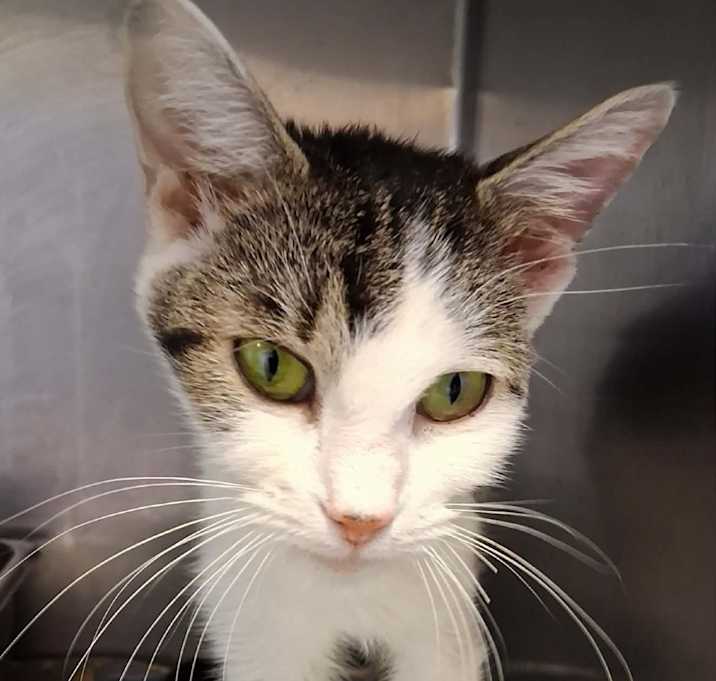 Photo of 251219f079 - olivia