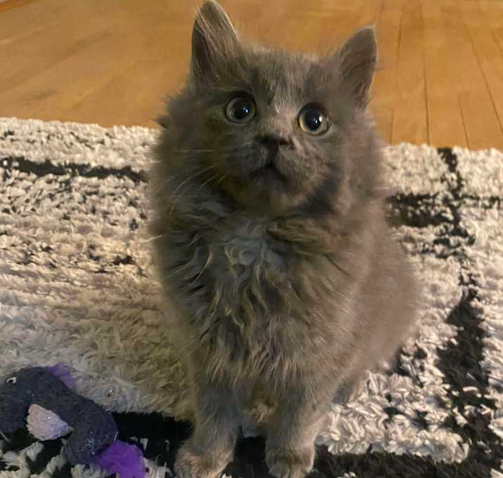 Photo of Mr. What's It