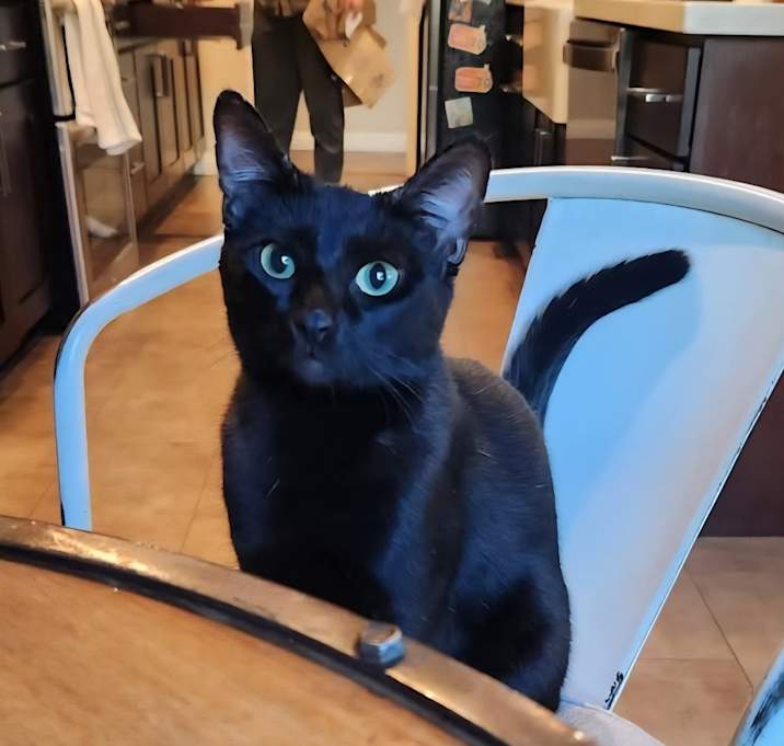 Photo of Maverick - Costa Mesa Location