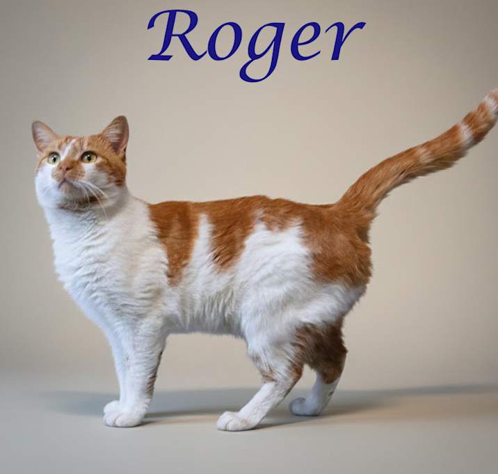 Photo of Roger C25-348