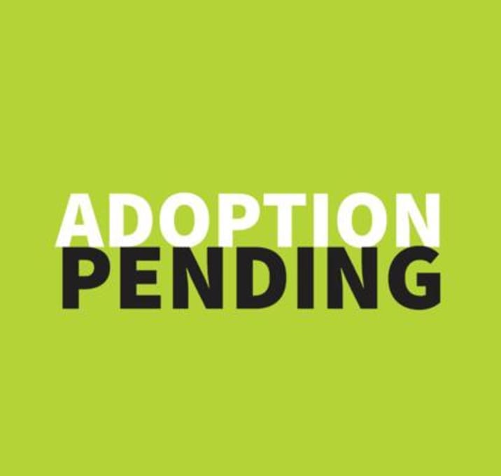 Photo of Marie Callender