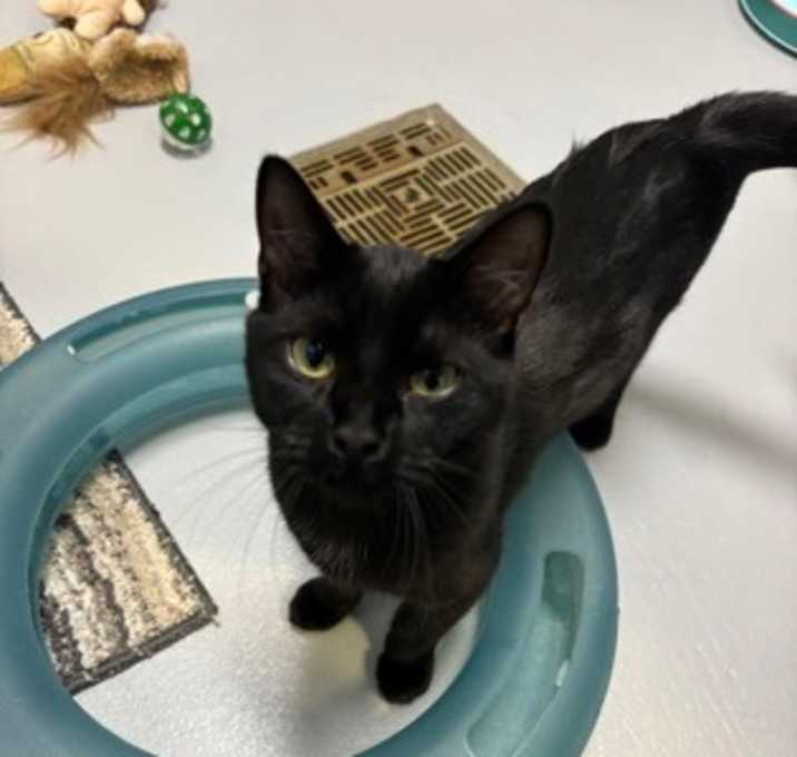 Photo of Breezy 1137-25