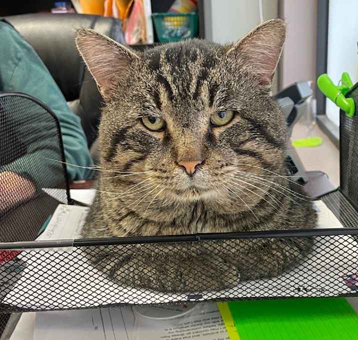 Photo of Fat Man Evan